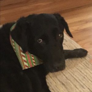 Meet your Posher, Stephenie